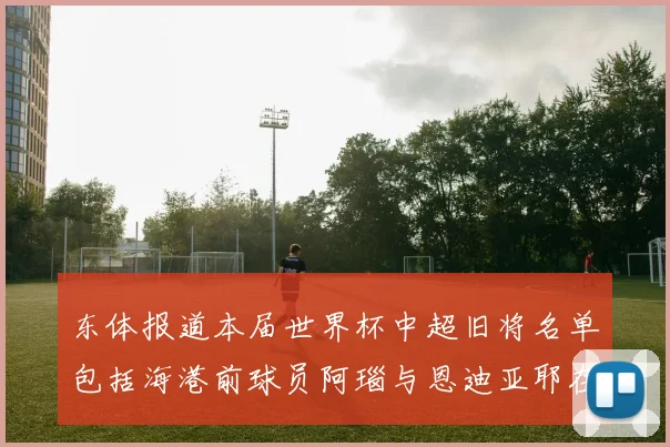 东体报道本届世界杯中超旧将名单包括海港前球员阿瑙与恩迪亚耶在内的10位球员